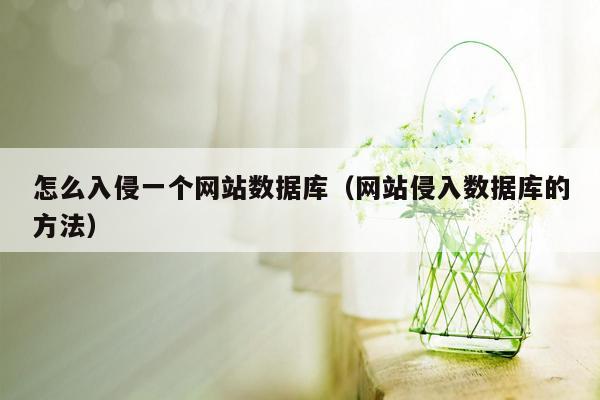 怎么入侵一个网站数据库（网站侵入数据库的方法）
