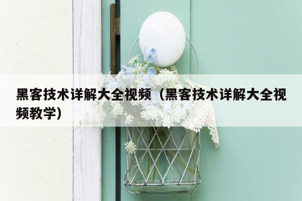 黑客技术详解大全视频（黑客技术详解大全视频教学）