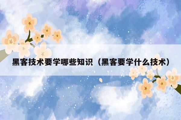 黑客技术要学哪些知识（黑客要学什么技术）
