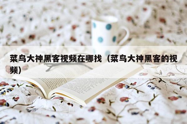 菜鸟大神黑客视频在哪找（菜鸟大神黑客的视频）