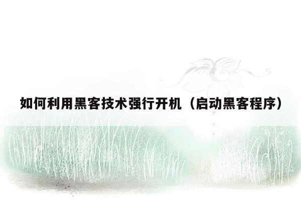 如何利用黑客技术强行开机（启动黑客程序）