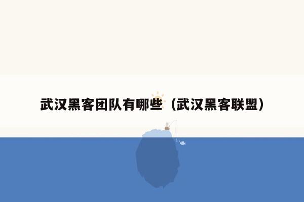 武汉黑客团队有哪些（武汉黑客联盟）