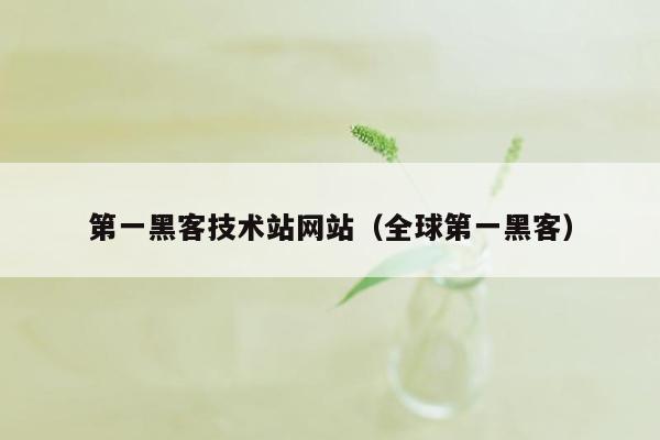第一黑客技术站网站（全球第一黑客）