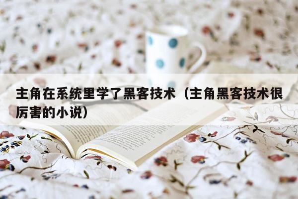 主角在系统里学了黑客技术（主角黑客技术很厉害的小说）