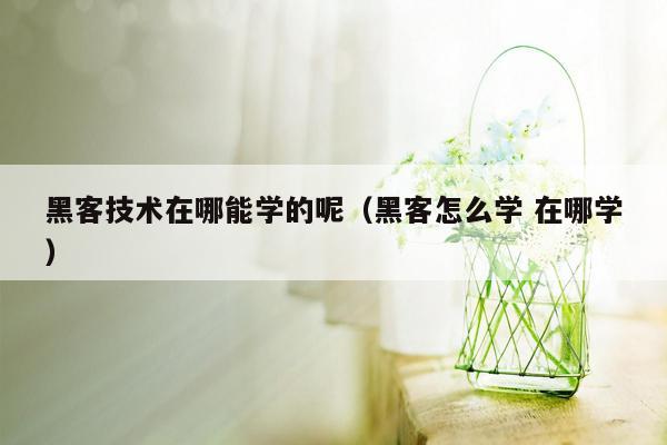 黑客技术在哪能学的呢（黑客怎么学 在哪学）