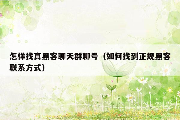 怎样找真黑客聊天群聊号（如何找到正规黑客联系方式）