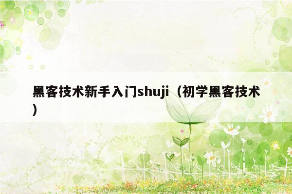 黑客技术新手入门shuji（初学黑客技术）
