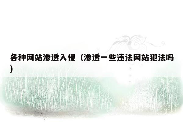 各种网站渗透入侵（渗透一些违法网站犯法吗）