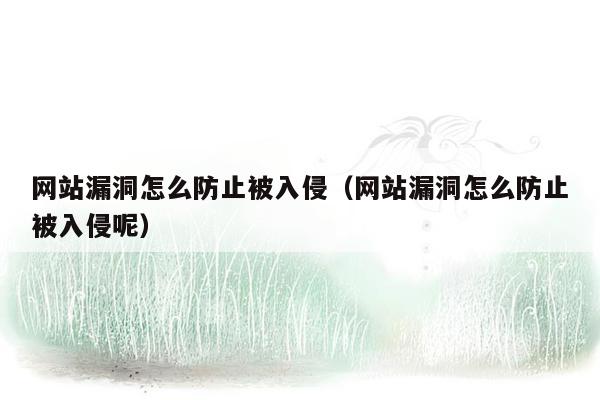 网站漏洞怎么防止被入侵（网站漏洞怎么防止被入侵呢）