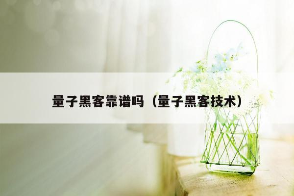 量子黑客靠谱吗（量子黑客技术）