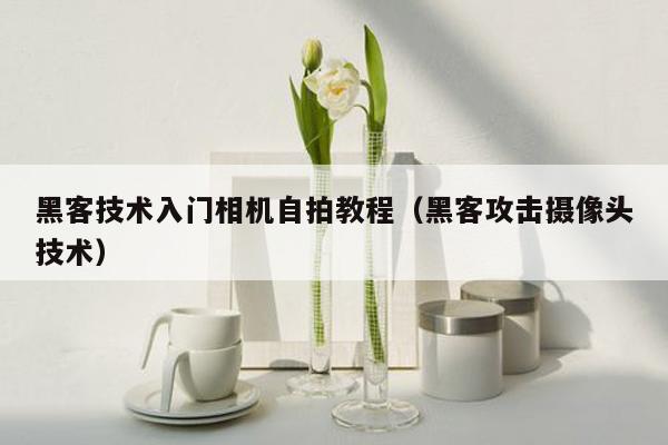 黑客技术入门相机自拍教程（黑客攻击摄像头技术）