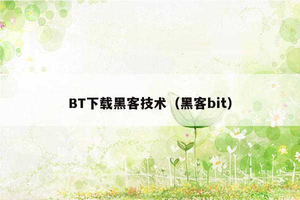 BT下载黑客技术（黑客bit）