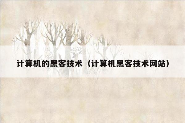 计算机的黑客技术（计算机黑客技术网站）