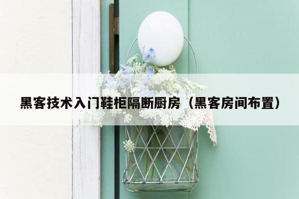 黑客技术入门鞋柜隔断厨房（黑客房间布置）