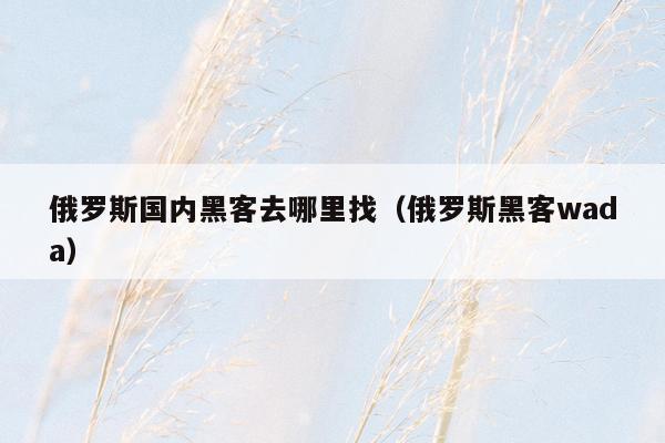 俄罗斯国内黑客去哪里找（俄罗斯黑客wada）