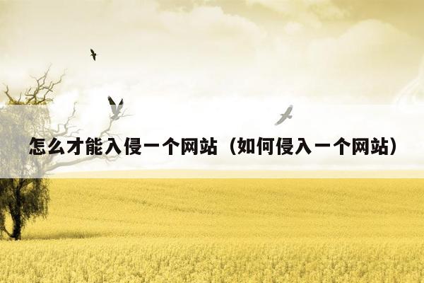 怎么才能入侵一个网站（如何侵入一个网站）