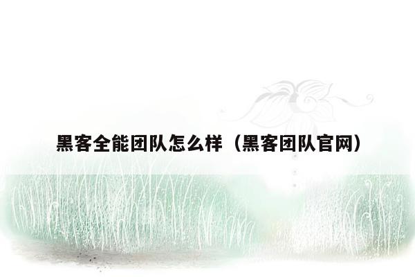 黑客全能团队怎么样（黑客团队官网）