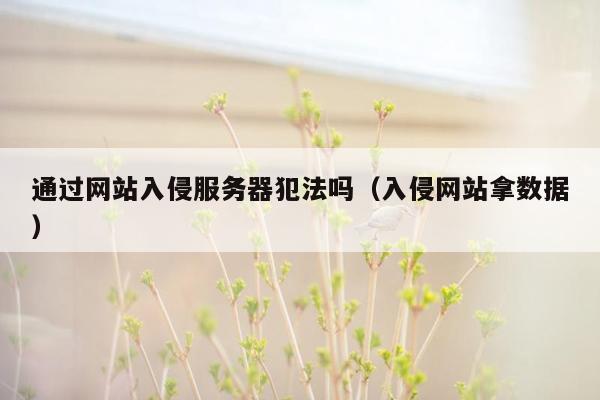 通过网站入侵服务器犯法吗（入侵网站拿数据）