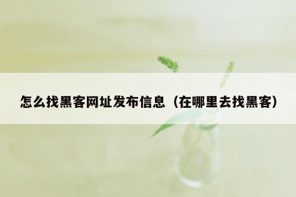 怎么找黑客网址发布信息（在哪里去找黑客）