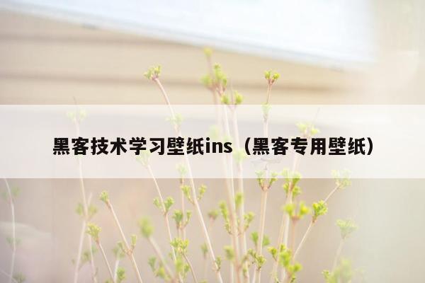 黑客技术学习壁纸ins（黑客专用壁纸）