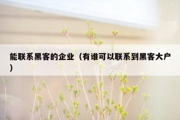 能联系黑客的企业（有谁可以联系到黑客大户）