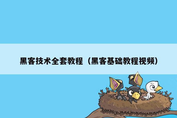 黑客技术全套教程（黑客基础教程视频）