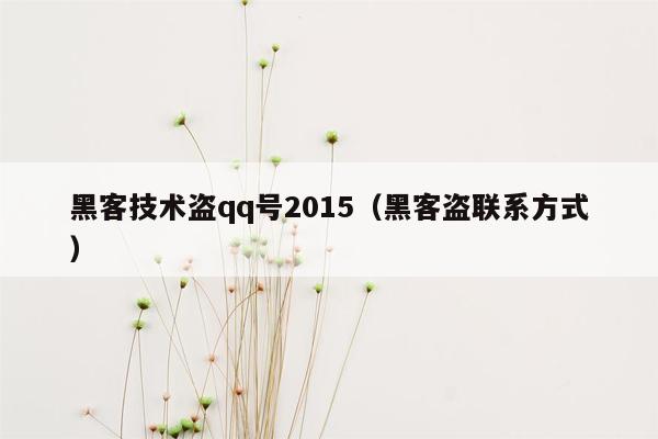 黑客技术盗qq号2015（黑客盗联系方式）
