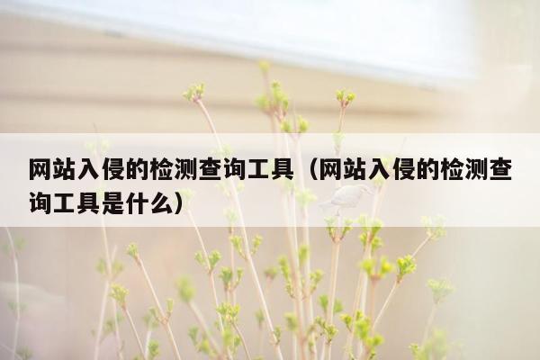 网站入侵的检测查询工具（网站入侵的检测查询工具是什么）