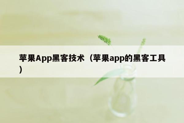 苹果App黑客技术（苹果app的黑客工具）