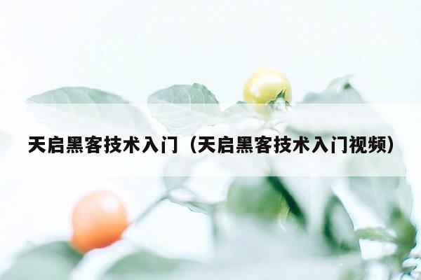 天启黑客技术入门（天启黑客技术入门视频）