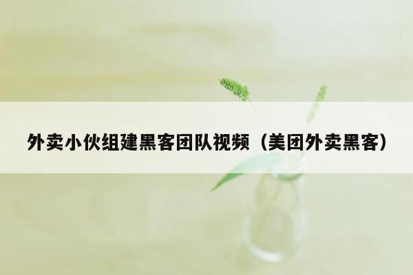 外卖小伙组建黑客团队视频（美团外卖黑客）