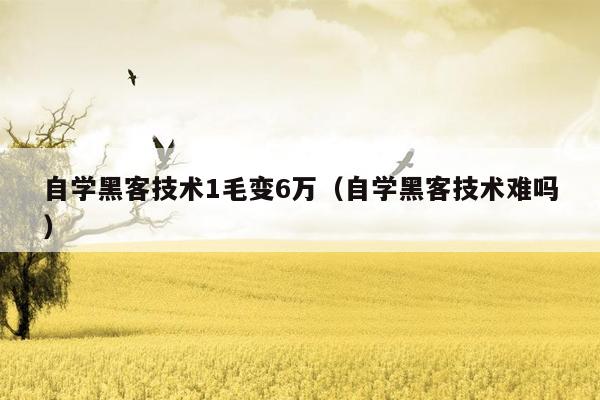 自学黑客技术1毛变6万（自学黑客技术难吗）