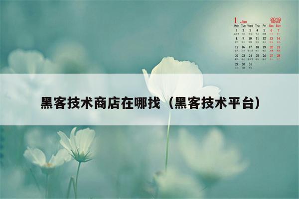 黑客技术商店在哪找（黑客技术平台）