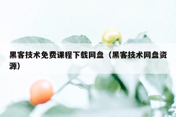 黑客技术免费课程下载网盘（黑客技术网盘资源）