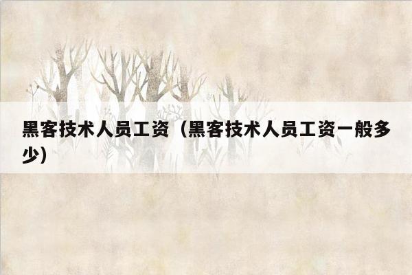 黑客技术人员工资（黑客技术人员工资一般多少）