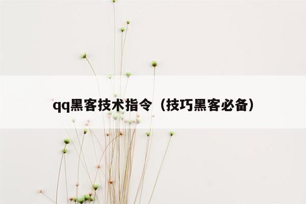 qq黑客技术指令（技巧黑客必备）