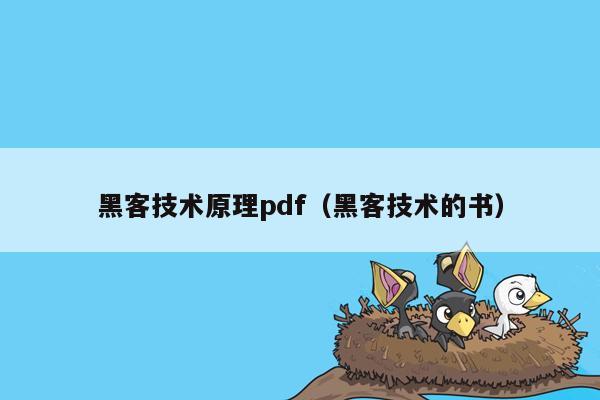 黑客技术原理pdf（黑客技术的书）