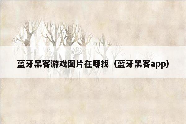 蓝牙黑客游戏图片在哪找（蓝牙黑客app）