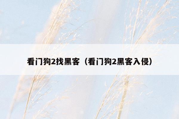 看门狗2找黑客（看门狗2黑客入侵）