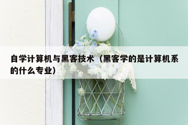 自学计算机与黑客技术（黑客学的是计算机系的什么专业）