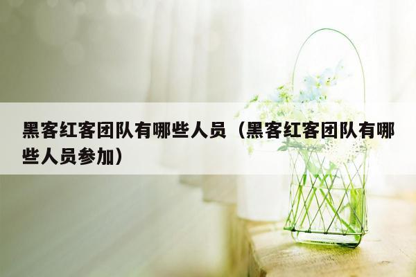 黑客红客团队有哪些人员（黑客红客团队有哪些人员参加）