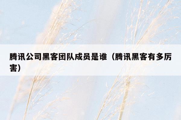 腾讯公司黑客团队成员是谁（腾讯黑客有多厉害）