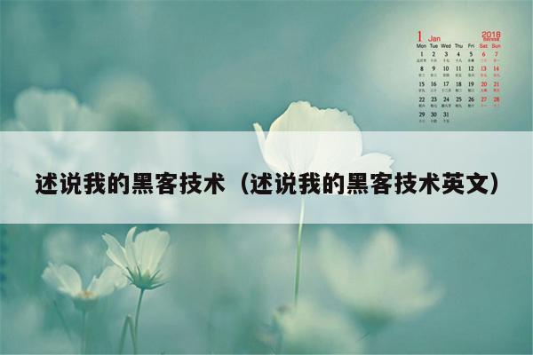 述说我的黑客技术（述说我的黑客技术英文）