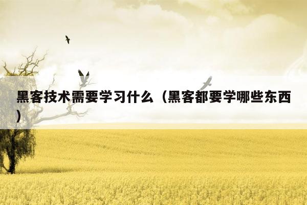 黑客技术需要学习什么（黑客都要学哪些东西）