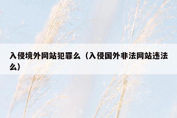 入侵境外网站犯罪么（入侵国外非法网站违法么）