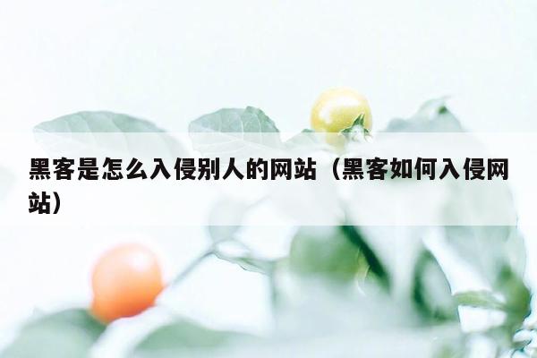 黑客是怎么入侵别人的网站（黑客如何入侵网站）