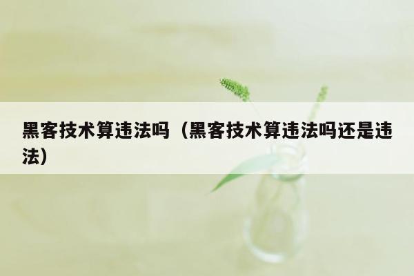 黑客技术算违法吗（黑客技术算违法吗还是违法）