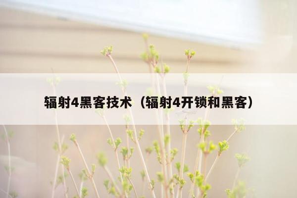 辐射4黑客技术（辐射4开锁和黑客）