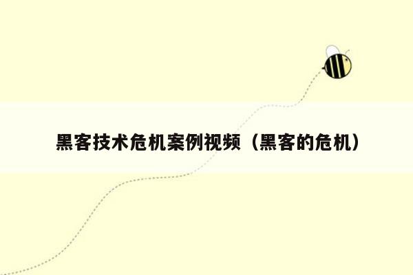 黑客技术危机案例视频（黑客的危机）