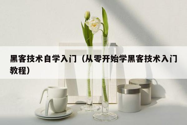 黑客技术自学入门（从零开始学黑客技术入门教程）
